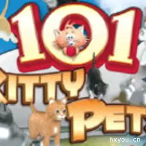 101宠物猫