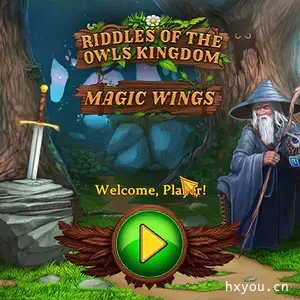 猫头鹰王国之谜2:魔法翅膀